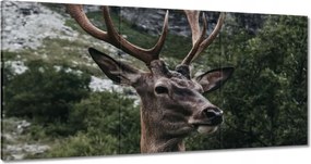 Vászonkép 180x90 Szarvas felszarvazott