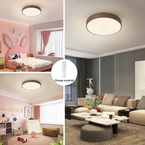 Brilagi - LED dimmelhető mennyezeti lámpatest POOL LED/48W/230V 3000-6000K 40 cm barna+távirányító