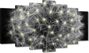 Vászonkép 140x80 Pitypang Virág Virágok