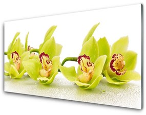 Akrilüveg fotó Virág növény természet 140x70 cm