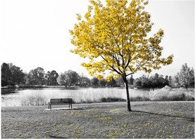 Kép - Pihenés a parkban (üvegen) (70x50 cm)