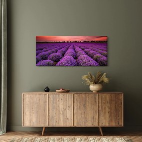 Kép - Levendula mező (120x50 cm)