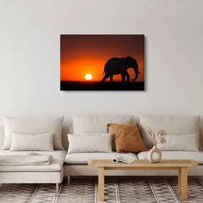 Elefánt képe naplementekor (90x60 cm)