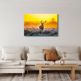 Kép - Szarvas napfelkeltekor (90x60 cm)