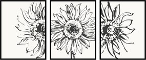 Poszterek triptichon 3db 13x18cm Grafika napraforgó vázlat virágok növények