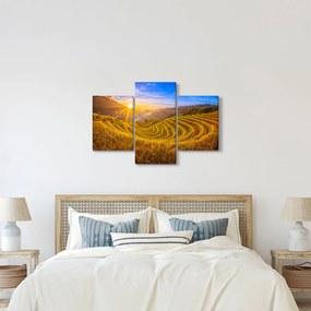 Kép - Rizs teraszok Vietnamban (90x60 cm)