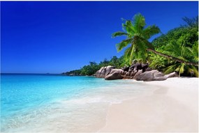 Kép a strandról a Praslin szigeten (90x60 cm)