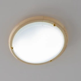Rabalux 5411 - Mennyezeti lámpa UFO 1xE27/60W/230V