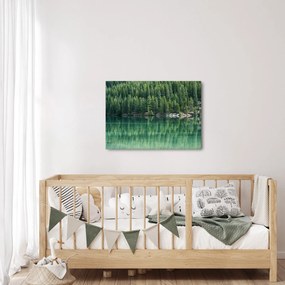 Kép - Tűlevelű a tónál (70x50 cm)