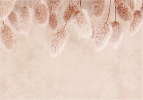 Fotótapéta Fű Pampas bézs finomság a falon 350x250 +ragasztó