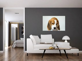 Beagle képe (90x60 cm)