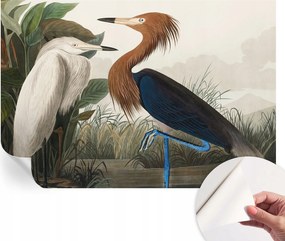 Öntapadós tapéta Fali furnér 3D hatás Madarak a növényekben 152x104 cm