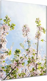 Vászonkép 80x120 Virágok