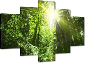 Festmények 150x105 Varázslatos erdő Tájkép