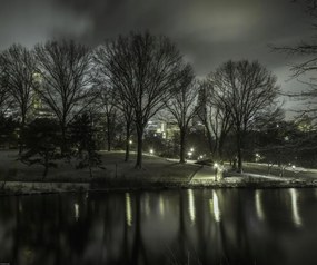 Poszter 60x50cm Central Park éjszaka 2, Assaf Frank