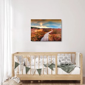 Kép - Őszi út (üvegen) (70x50 cm)