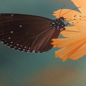 Kép - pillangó narancssárga virágon (90x60 cm)
