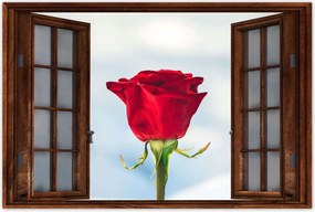 Poszterek 90x60 Rózsa Virág Virágok Rózsa