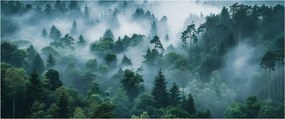 Kép - Erdő ködben (120x50 cm)