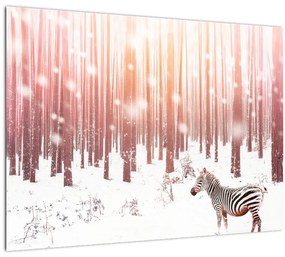 Kép - Zebra egy havas erdőben (üvegen) (70x50 cm)