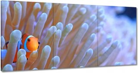 Festmények 180x90 Csodálatos tengeri világ