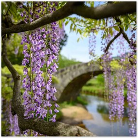 Poszterek 100x100 Japán Orient Buddhizmus