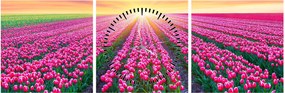 Tulipán mező és a nap képe (órával) (90x30 cm)
