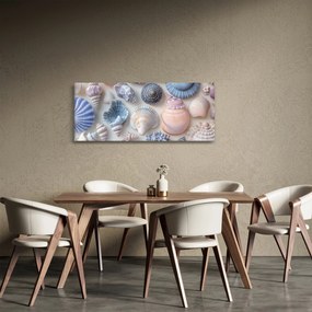 Kép - Kagylógyűjtemény (120x50 cm)