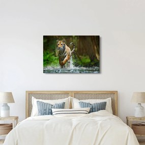 Futó tigris képe (90x60 cm)