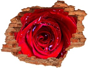 3d fali matrica lyuk a falban Rózsa virág nd-c-100979783