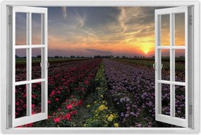 Poszterek 90x60 Nyugat a virágmezőn