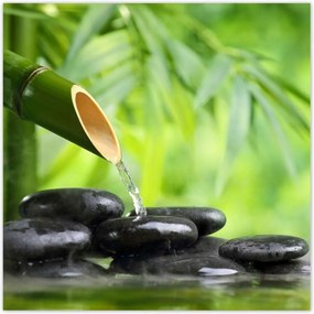 Poszterek 100x100 Sanus per aquam ForrĂĄs