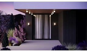 Maytoni O418WL-01B - Kültéri fali lámpa WILLIS 1xE27/60W/230V IP54 fekete