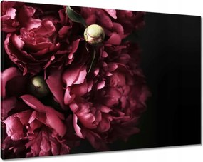 Vászonkép 100x70 Gyönyörű lila bazsarózsa
