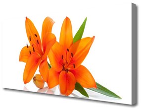 Vászonkép falra Orange növény virágai 120x60 cm
