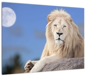 Kép - Fehér oroszlán (üvegen) (70x50 cm)
