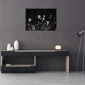 Kép - Gyapotfűvel borított rét N⁰1 (70x50 cm)