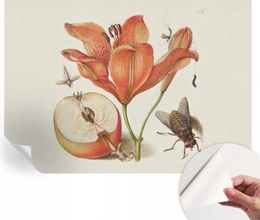 Dekoratív öntapadós fotótapéta az irodába Botanikus illusztráció 208x146