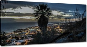 Festmények 115x55 Tájkép pálmafákkal