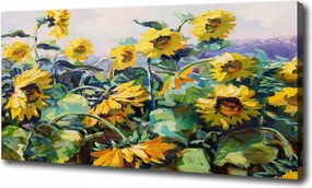 Canvas falikép Napraforgók 120x60 cm