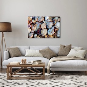 Kagyló képe (90x60 cm)