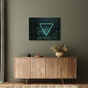 Kép - Neon háromszög a dzsungelben (70x50 cm)
