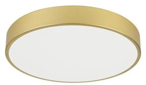 Immax NEO 07292L - LED+CCT dimmelhető mennyezeti lámpatest SEMPLICI 36W/230V átm. 40 cm + távirányítóval