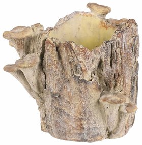 Beton burkolat - tusk with mushrooms, 19 x 17 x 16cm
