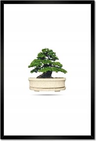 Poszterek keretben 40x60 Bonsai fa