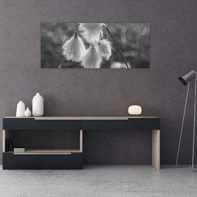 Kép - Cottongrass (120x50 cm)