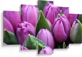 Kép - tulipánok (150x105 cm)