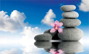 Fotótapéta Orchideák Kövek Víz Relaxáció Meditáció 416x254 +ragasztó