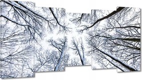 Festmények 150x80 Fa Fák Kilátás