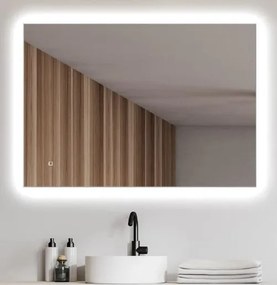 ZAM10070HLEDS